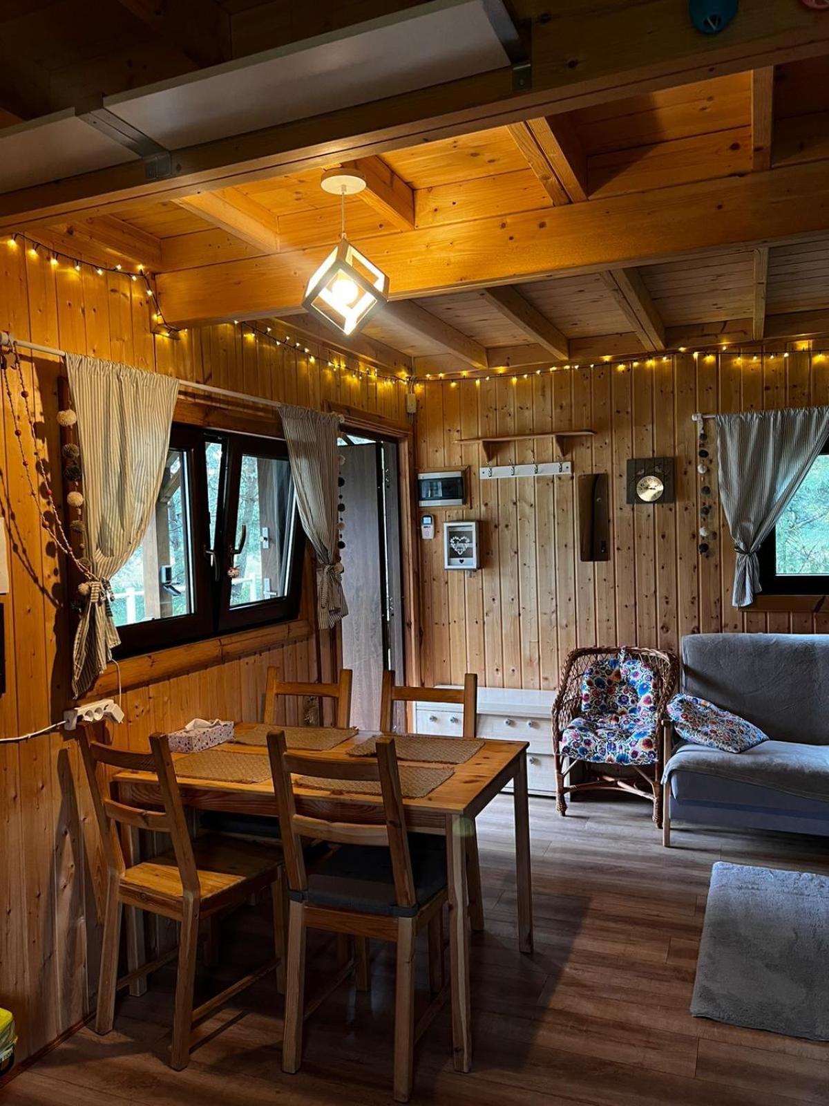 W Sosnach Ferienhaus