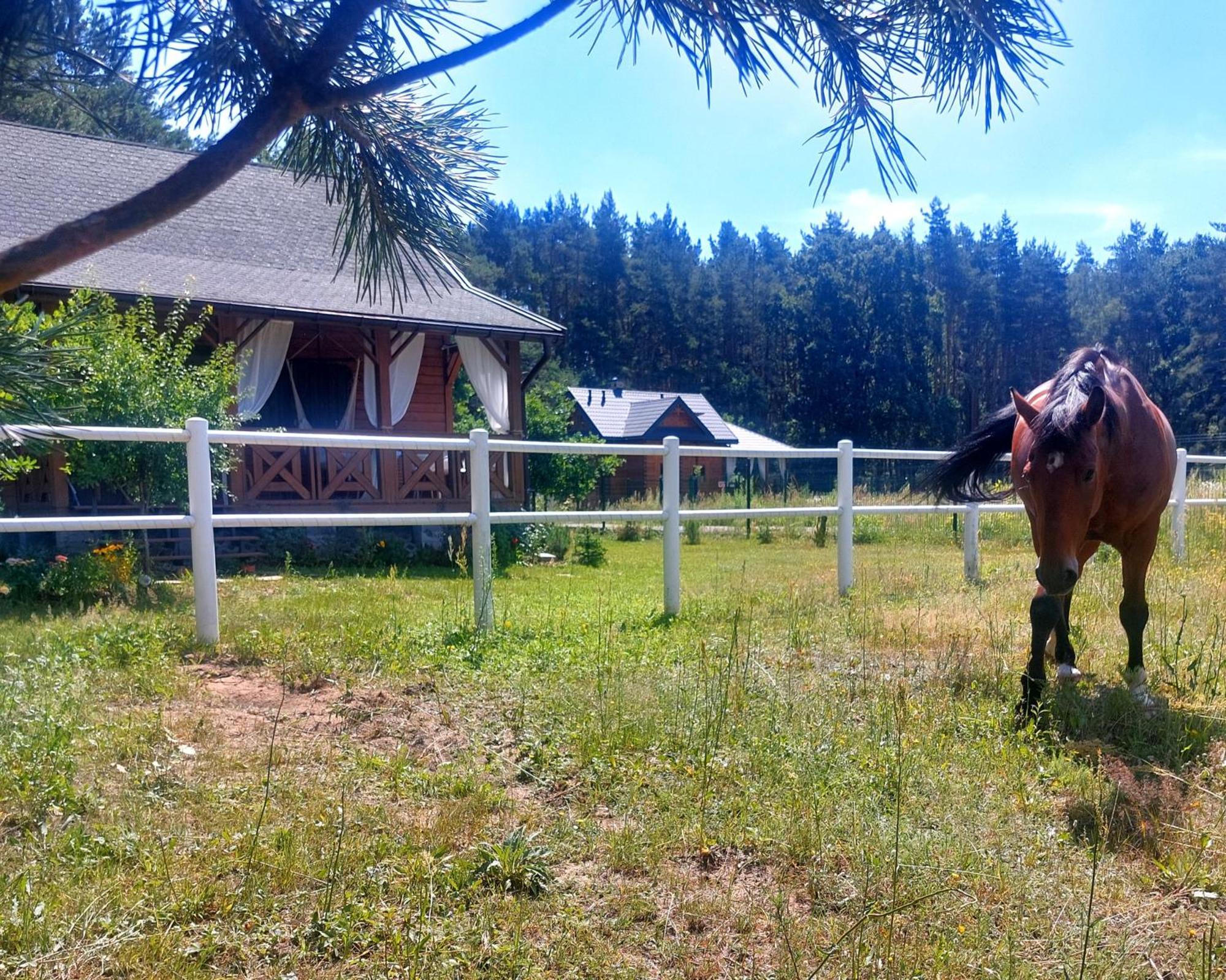 Ferienhaus W Sosnach *